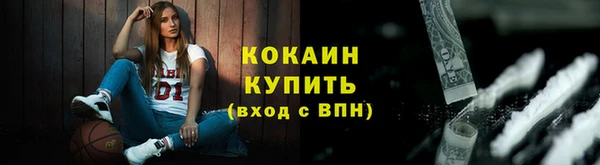 соль ск Бородино