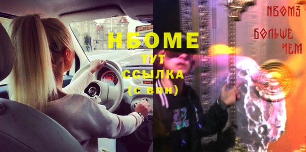 соль ск Бородино