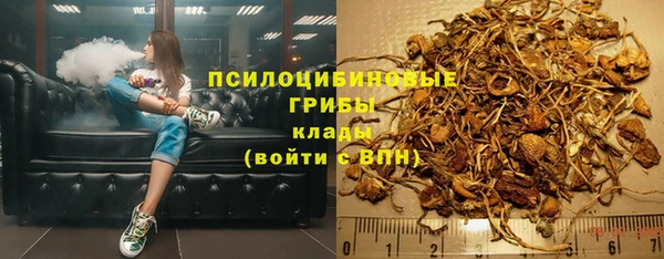 соль ск Бородино