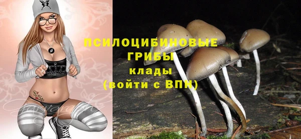 соль ск Бородино
