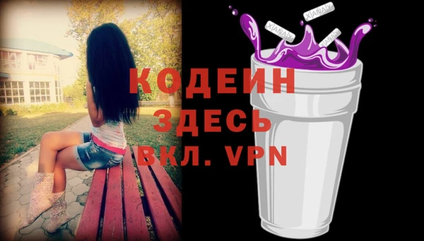 соль ск Бородино